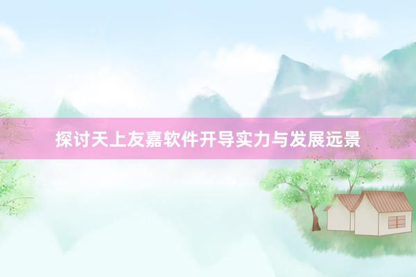 探讨天上友嘉软件开导实力与发展远景