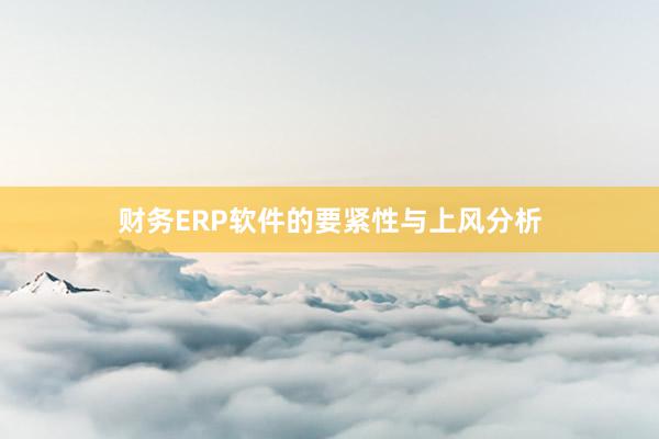 财务ERP软件的要紧性与上风分析